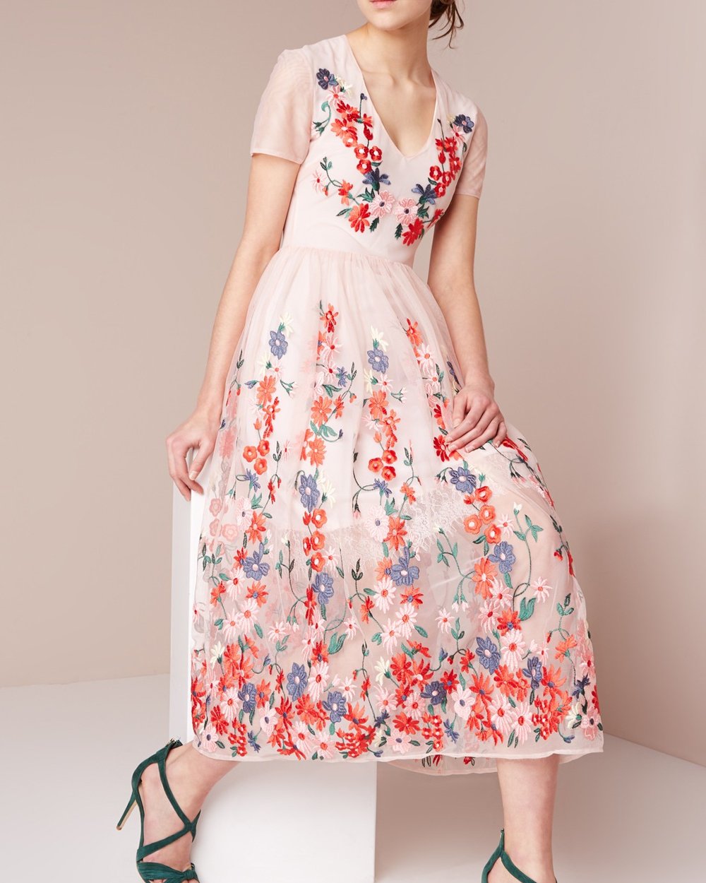 Commodo habitasse lacus