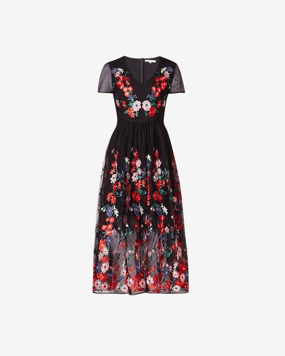 Commodo habitasse lacus