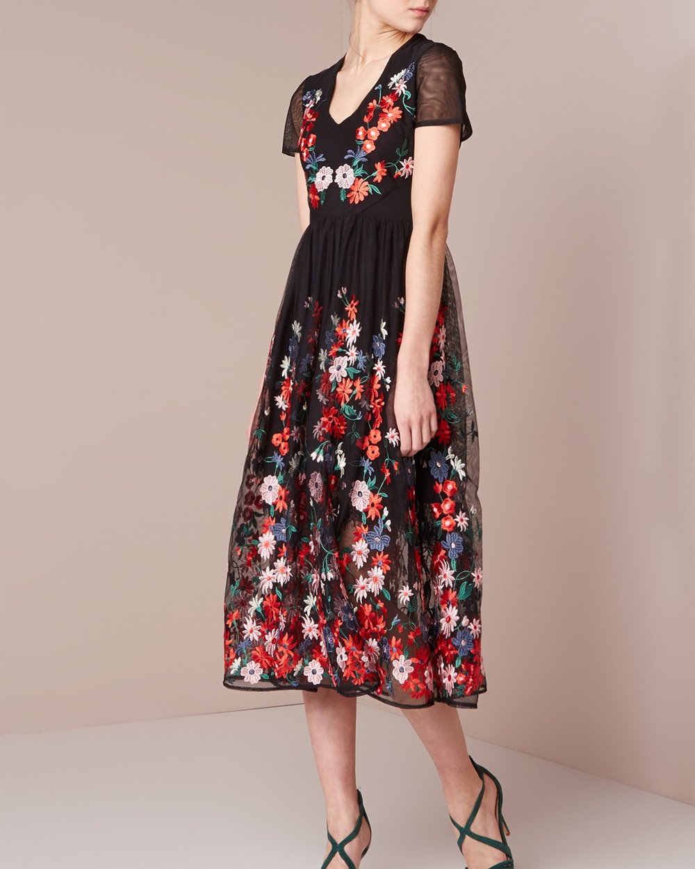 Commodo habitasse lacus